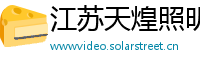江苏天煌照明集团有限公司